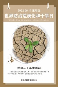 ​海报 - 世界防治荒漠化和干旱日