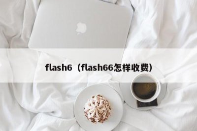 ​flash6（flash66怎样收费）