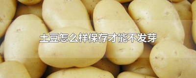 ​土豆怎么样保存才能不发芽 苹果 土豆怎么样保存才能不发芽