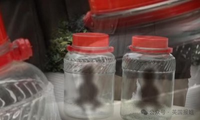 ​香港恐怖双婴尸案今日开审！玻璃瓶装两男婴尸体，封存渗出诡异黑水.