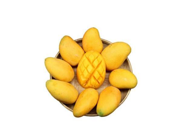 吃芒果有助于减肥吗 芒果的热量高吗